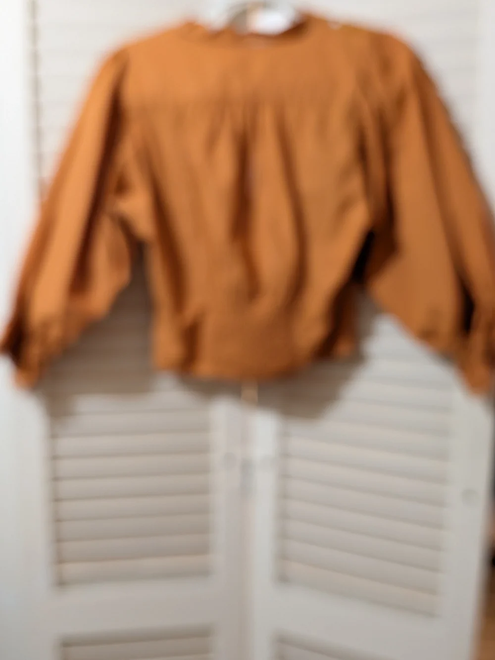 Women's Embroidered Puff-Sleeve Blouse - Rust